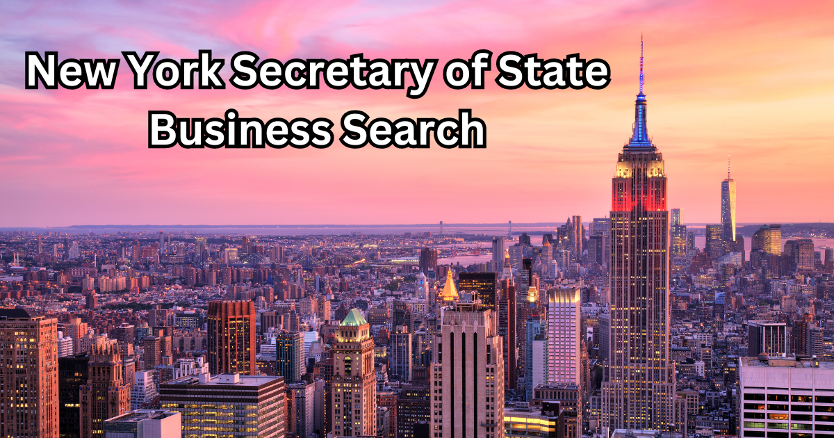 New York Secretary of State Business Search